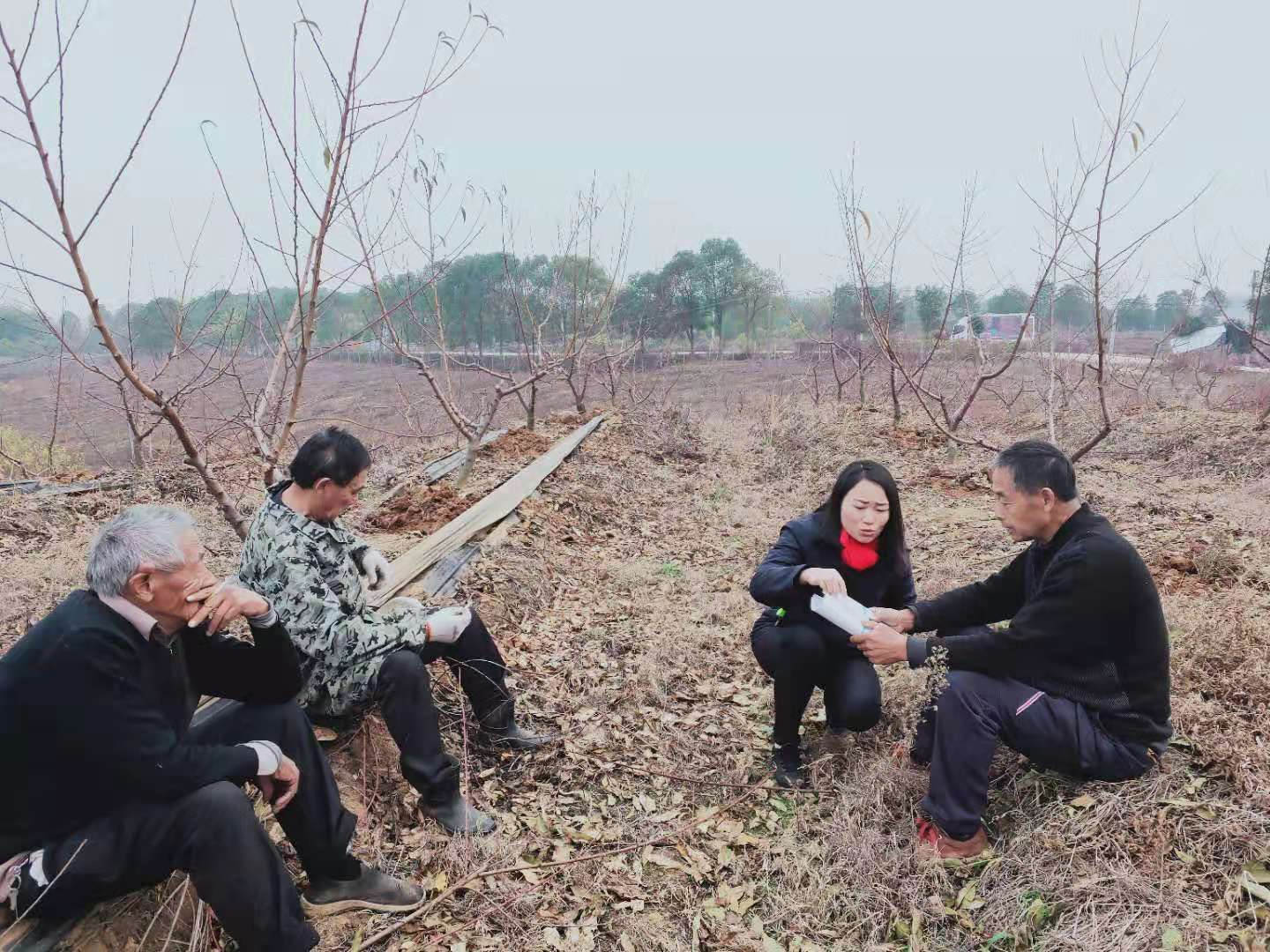 鄧松華正在為農(nóng)戶指導(dǎo)種植技術(shù).jpg