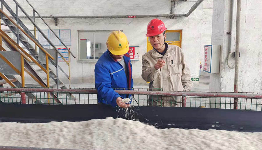 張韜（右）指導(dǎo)造粒工操作注意要點(diǎn).jpg